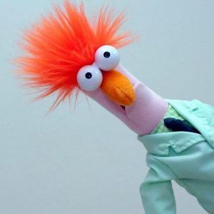 Meet your Posher, Silvia